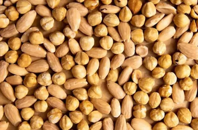 Blog-LSS-667-x-437-Praline